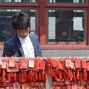 程序员的小白的个人资料头像