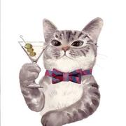 JYoung4320的个人资料头像