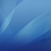 madnx的个人资料头像