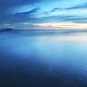 ArtherLion的个人资料头像