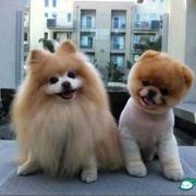 bloom8242的个人资料头像