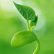 看着看着天亮了的个人资料头像