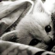 145154D21G的个人资料头像