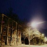 苏秦的个人资料头像