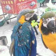 饭团_fan的个人资料头像