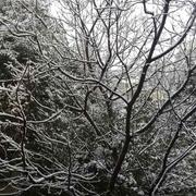 青丝暮雪的个人资料头像