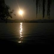 寂寞的阳光的个人资料头像