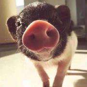 满口道理满心欢喜的个人资料头像