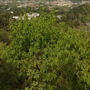 郑惠瀚的个人资料头像