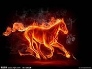 泉1475995615706的个人资料头像