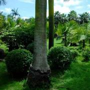 DarkBlue的个人资料头像