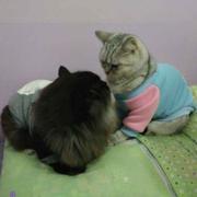 1477548834000的个人资料头像