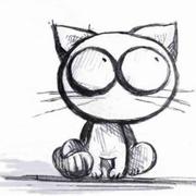 鹏鹏的个人资料头像