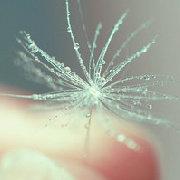 为者亢也的个人资料头像