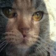 胡滨说的个人资料头像