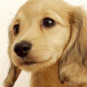 color_cat的个人资料头像