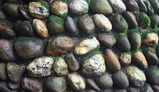 1458027780351462.jpg 5501.jpg