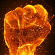 欢乐跳蚤flight的个人资料头像