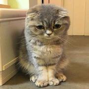 小华的个人资料头像