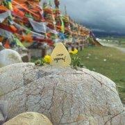 每天都很忙的十三叔的个人资料头像