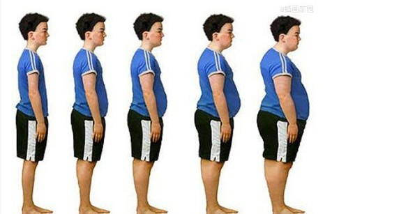 程序员肚腩变化