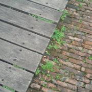 skycent的个人资料头像