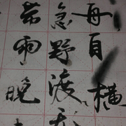 一一哥的个人资料头像