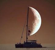 心在雲水间的个人资料头像