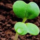 优享库的个人资料头像