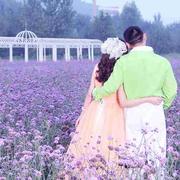 曹诗龙的个人资料头像