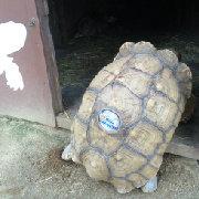 用户667054768631的个人资料头像