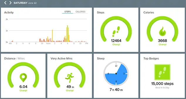 Fitbit Dashboard
