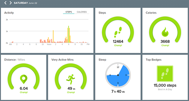 Fitbit Dashboard