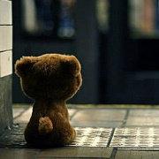 一杯单丛茶的个人资料头像