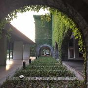 DavidZhou23的个人资料头像