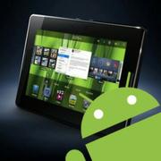 绪雍的个人资料头像