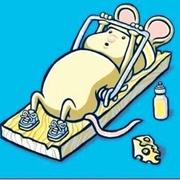 史书缘的个人资料头像