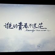 骑着乌龟上高速的个人资料头像