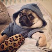 廖晶晶的个人资料头像