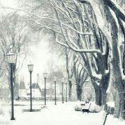 谜的个人资料头像