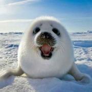 小强1473899618186的个人资料头像