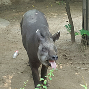小小实习生的个人资料头像