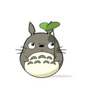 何凯的个人资料头像