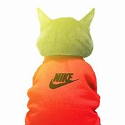 猫头羊的个人资料头像