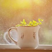 静定致远的个人资料头像