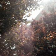 淡陌颜的个人资料头像