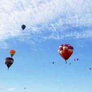 稻草人手记的个人资料头像