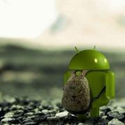 aCandy的个人资料头像