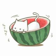 Lizus的个人资料头像