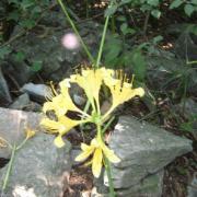 巛川的个人资料头像